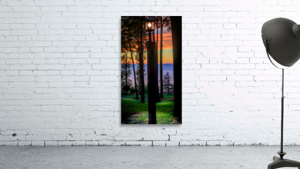 jludwigButterflyjpeg 3   Copy Wall Preview