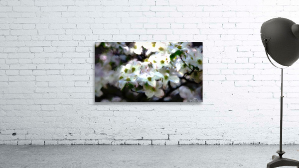 Monet Dogwood 2 studio Wall Preview