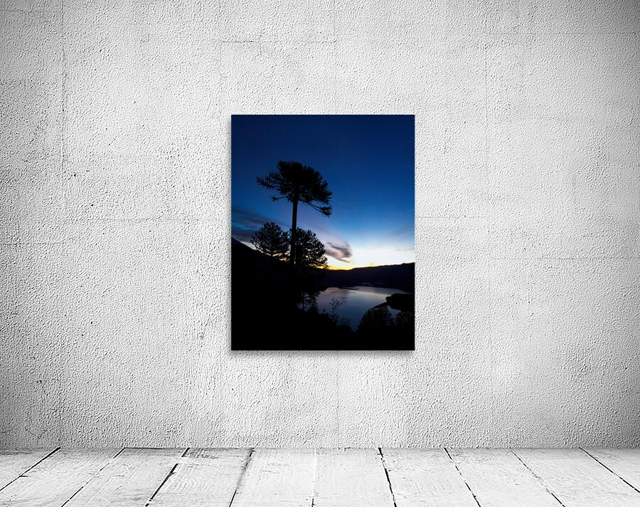 Conguillio Wall Preview