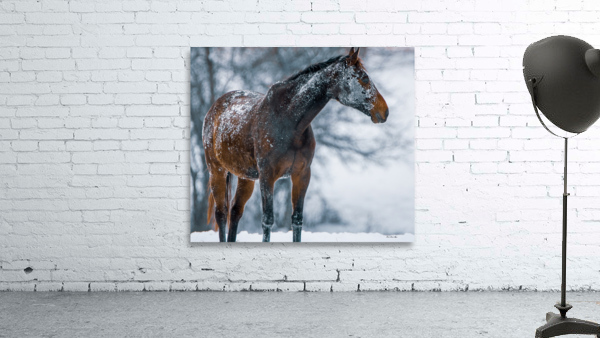 Let It Snow Wall Preview