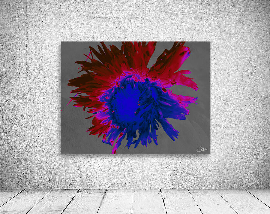 Darker Distressed Neon Heatwave Chrysanthemum Wall Preview