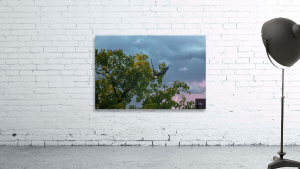 Eagle in the storm Wall Preview