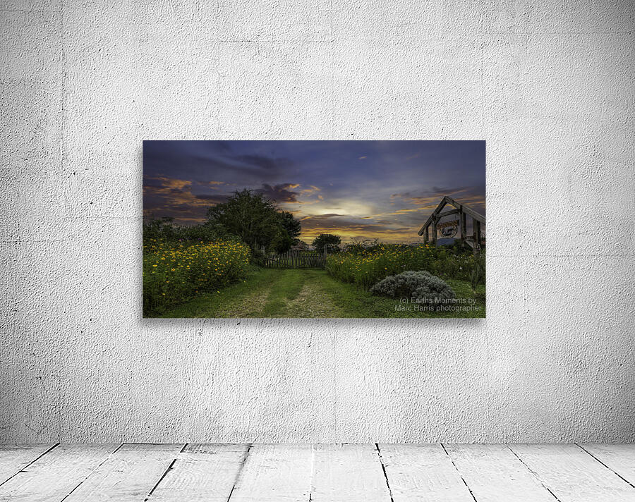 Logan Berry Wall Preview