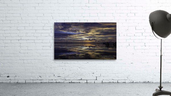 Scatterings Wall Preview