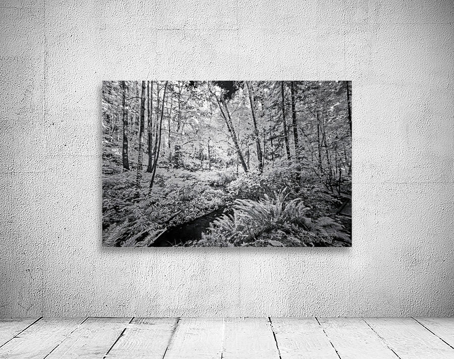 Brooklyn Creek by CRB Images Photography