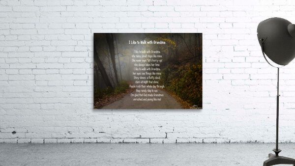 I Like to Walk with Grandma Wall Preview