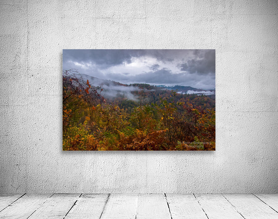 Cades Cove Foggy Morning Wall Preview