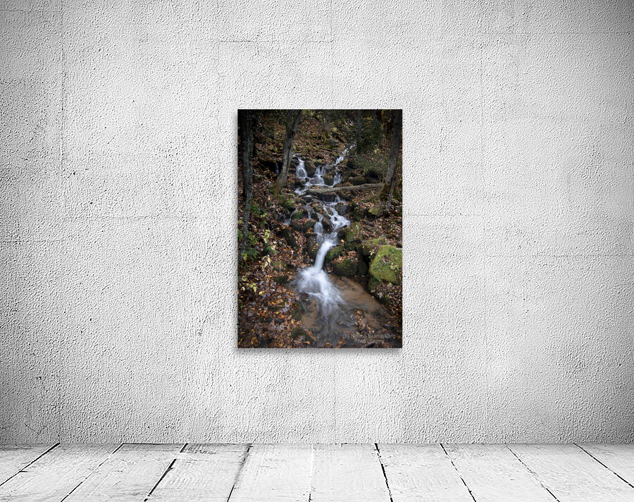 Mountain Waterfall Cascade in the Great Smoky Mountains National Park Wall Preview