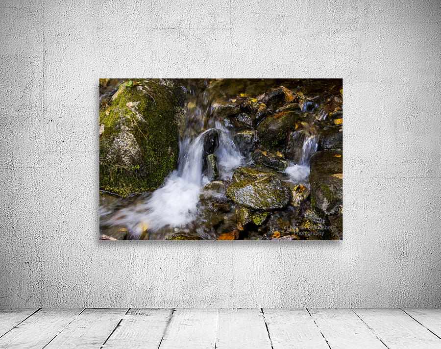 Blue Ridge Parkway Mountain Stream in  Autumn Wall Preview