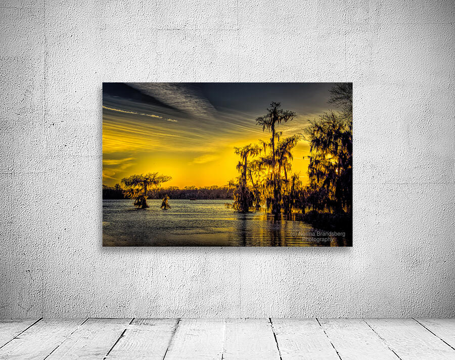 Martin Lake Louisiana Sunset  Wall Preview