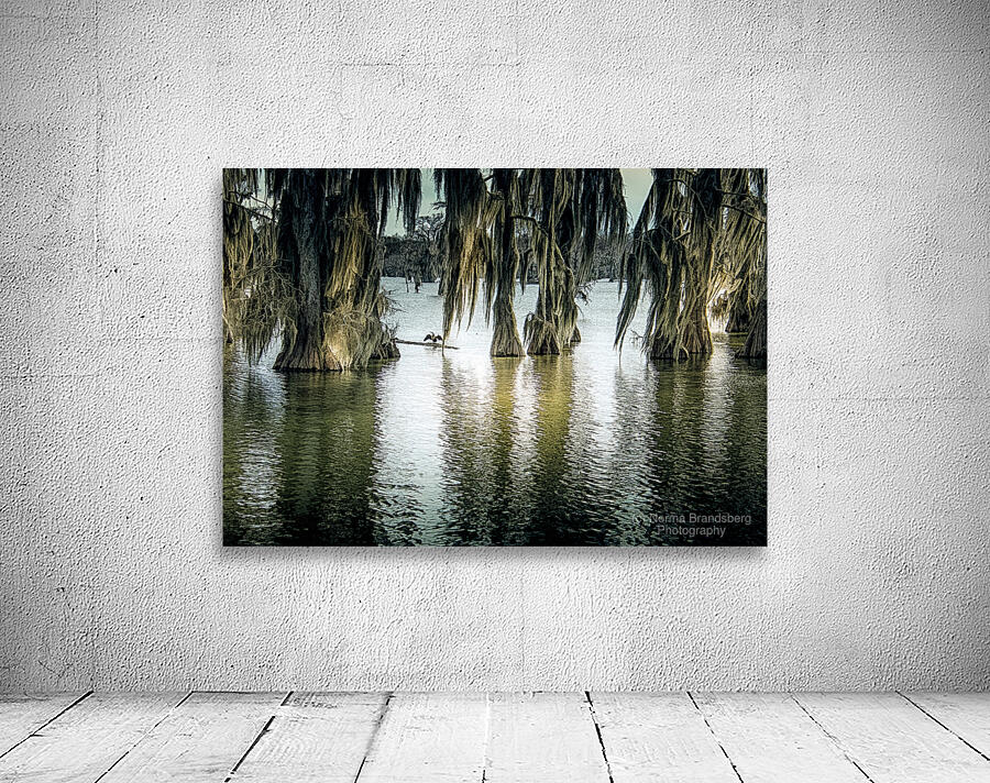 Lake Martin Winter Sun Wall Preview