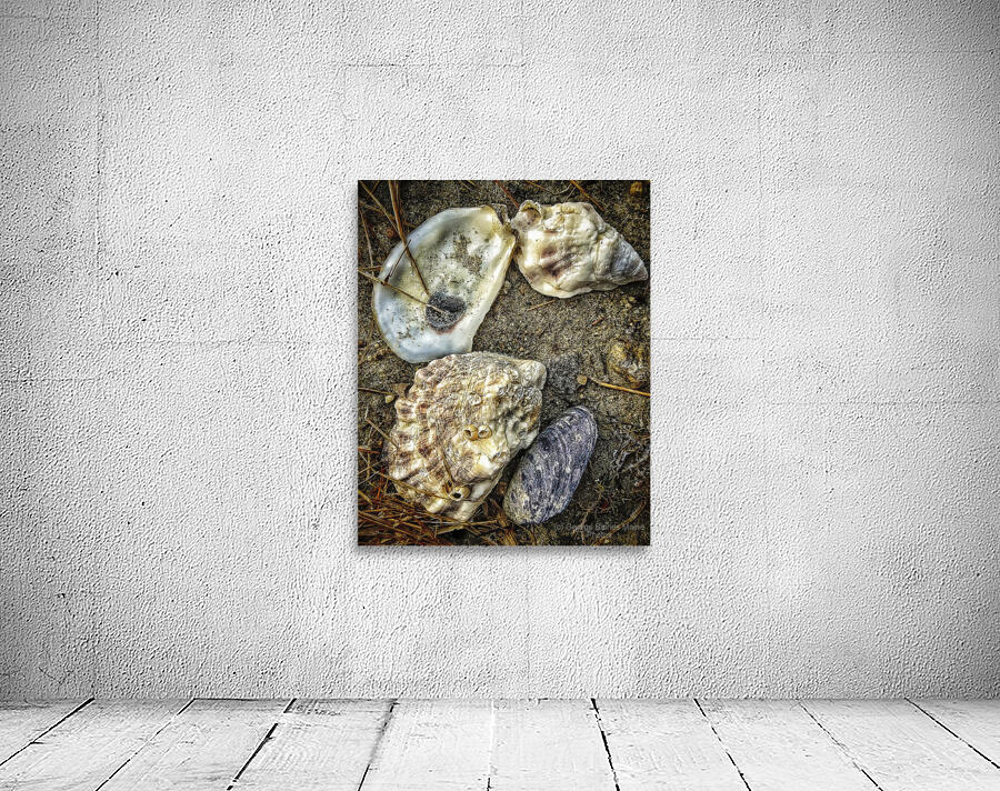 A Shoreline Find Wall Preview