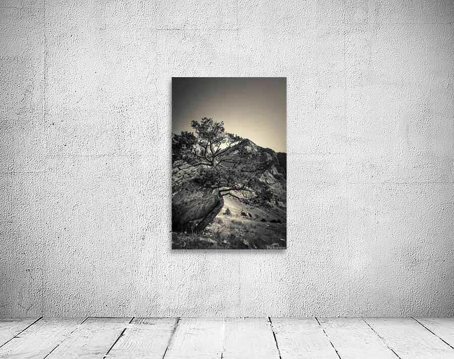 16x24 20170826 KW LN Find a Way Wall Preview