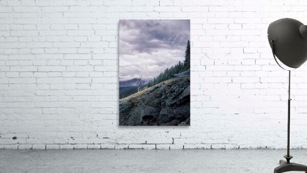 16x24 Last Stand Wall Preview