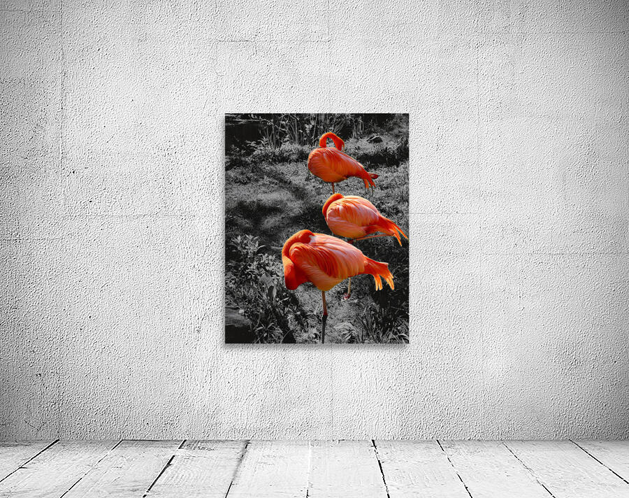 Flamingos Tucked by Earthshine Emporium