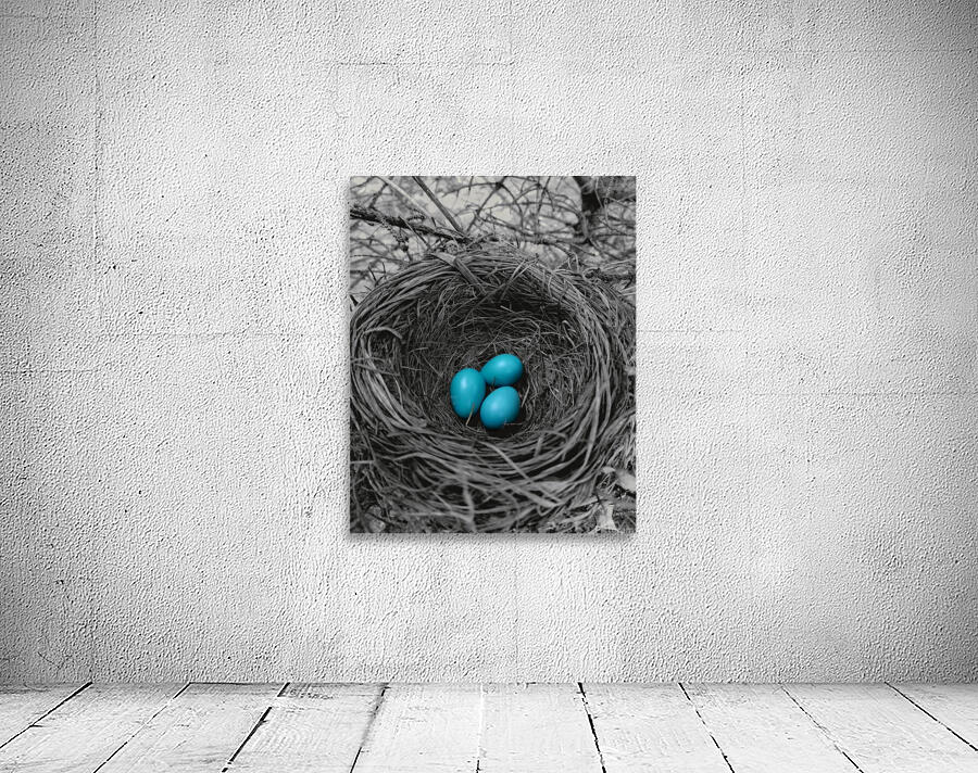 Robin Eggs  by Earthshine Emporium