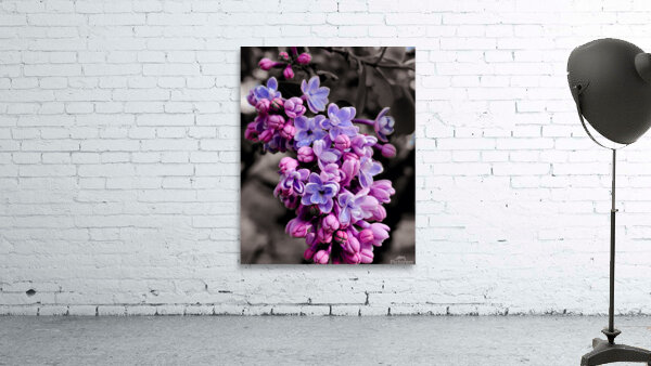 Lilac by Earthshine Emporium