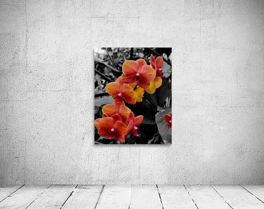 Orchids 4 by Earthshine Emporium