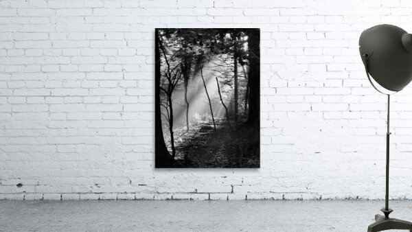 Morning Sunlight by Earthshine Emporium