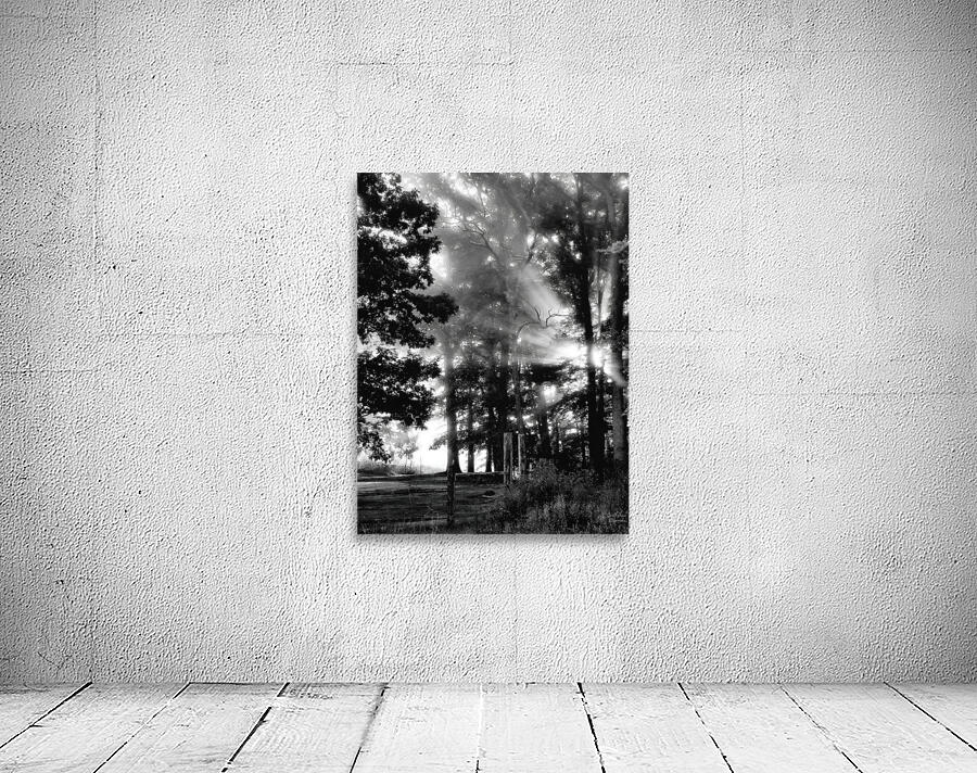 Misty Morning Rays by Earthshine Emporium