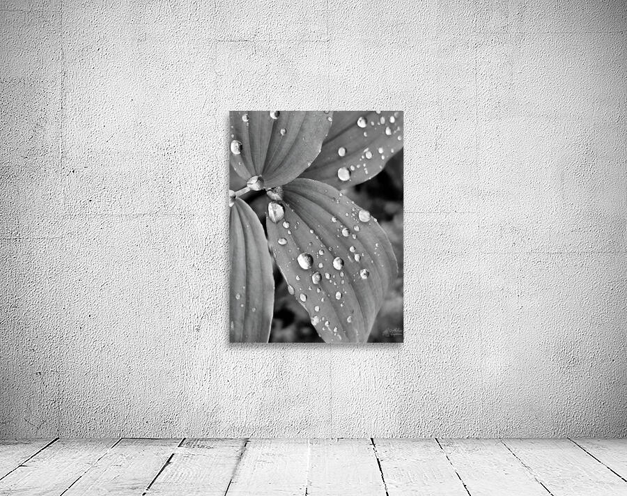 Raindrops by Earthshine Emporium