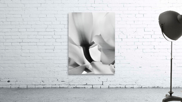 Ethereal Flower by Earthshine Emporium