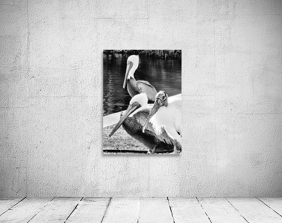 Stork Trio by Earthshine Emporium