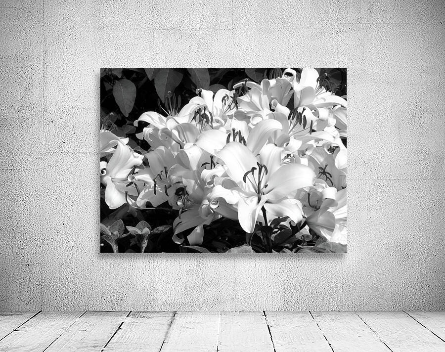 Lilies by Earthshine Emporium