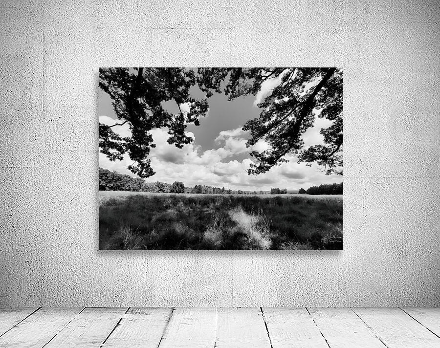 Meadow by Earthshine Emporium