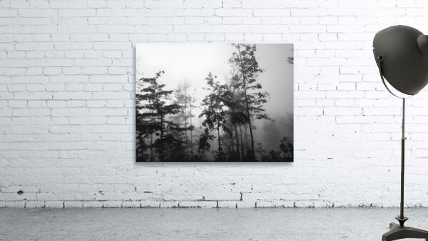 Misty Morning by Earthshine Emporium