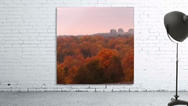 Colourful trees Wall Preview