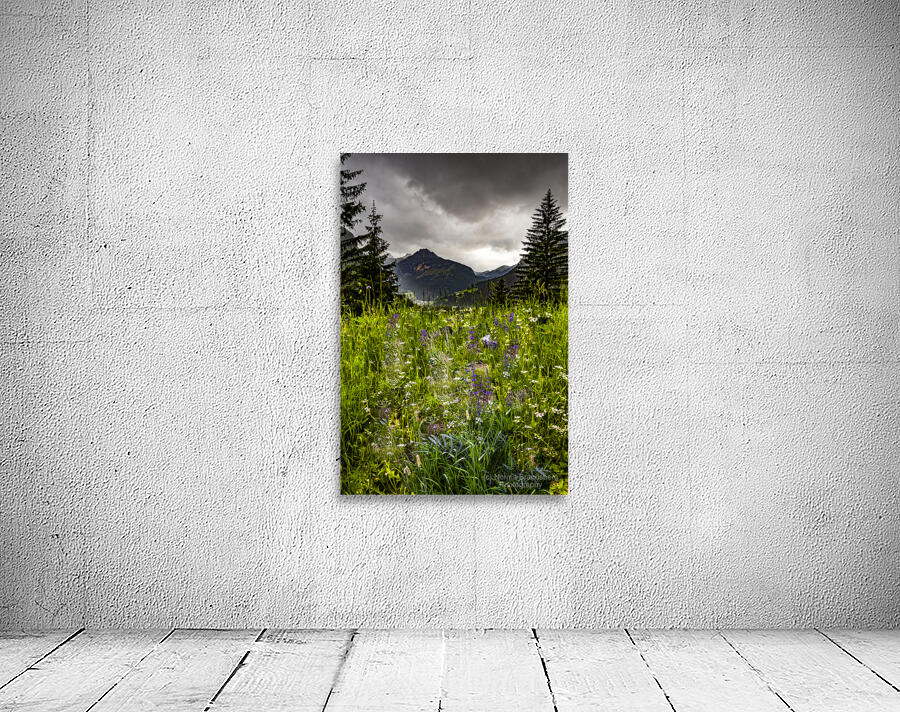Dolomite Mountain Wildflowers in Summer Wall Preview