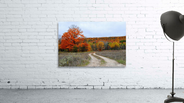 Autumn Road Wall Preview