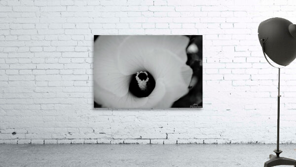 White Flower Wall Preview