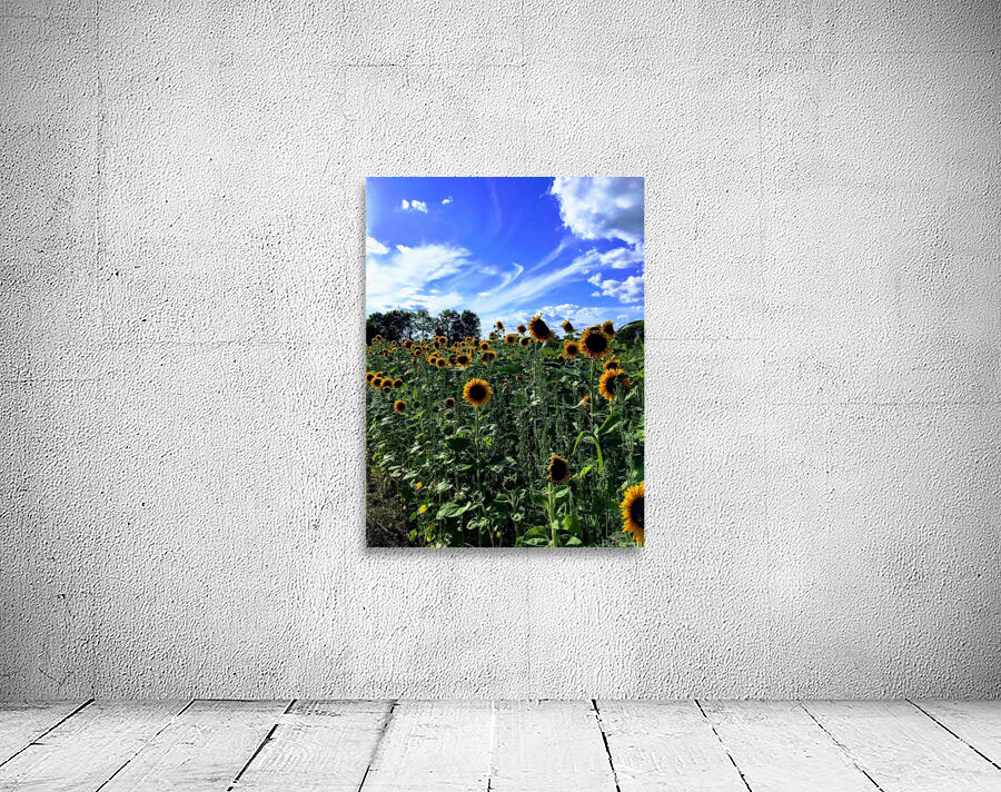 Sunflower Days Wall Preview