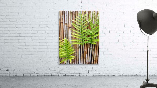 Hawaiian Fern Wall Preview