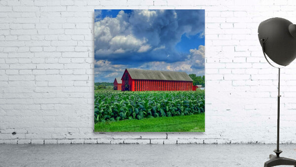 03 Summer on Horton Farm Wall Preview