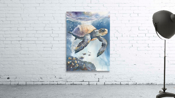 Sea Turtle - Florida by Hubert ABITBOL