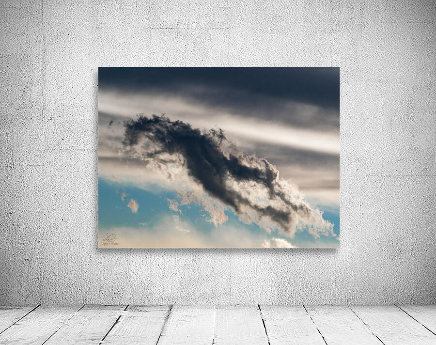 Drifting Dragon Wall Preview