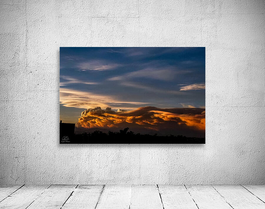 Terrible Beauty Wall Preview