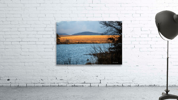 Golden Prairie Aperçu sur mur