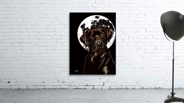 Labrador Wall Preview