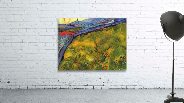 Vincent Willem van Gogh 007 Wall Preview