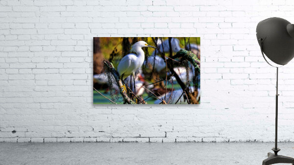 SNOWY EGRET Wall Preview