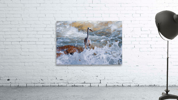 Great Blue Heron - Turbulent Waters  by Chad Meyer