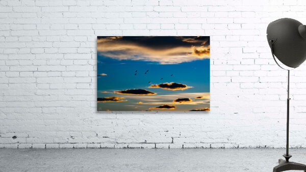 The Lightness of Freedom Wall Preview