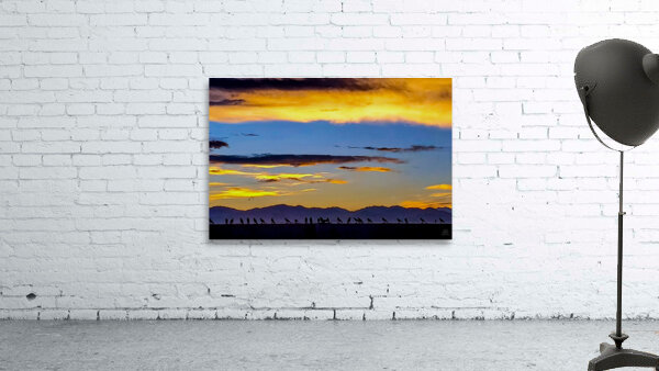 Murder at Sunset Wall Preview