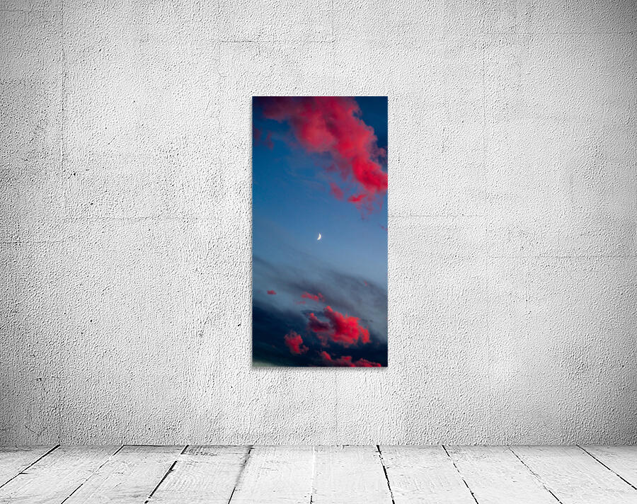 Pink and Blue and You Too Wall Preview