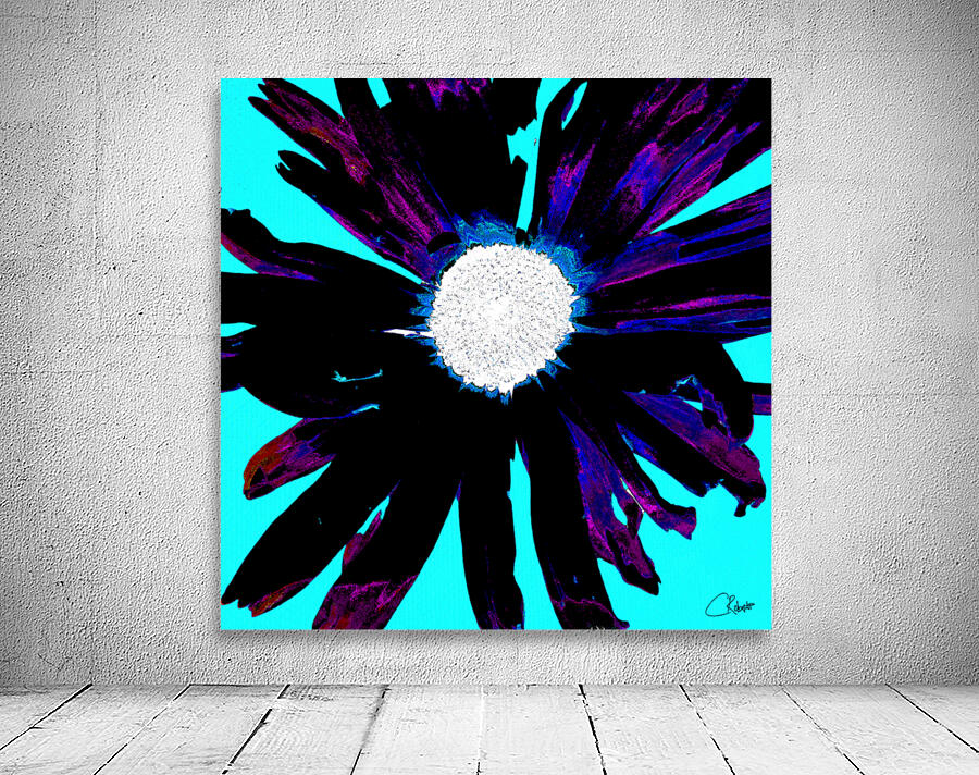 Daisy Flower on Vibrant Turquoise Background Wall Preview