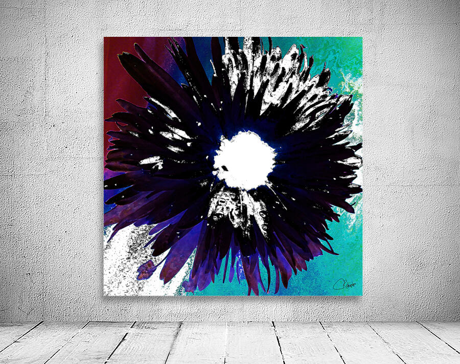 Black and White Daisy on a Coloured Abstract Background Wall Preview
